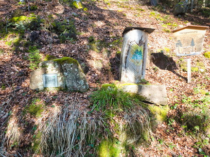 20220205202138-8aee76ce